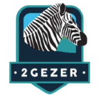 SAS 2 Gezer Corp logo
